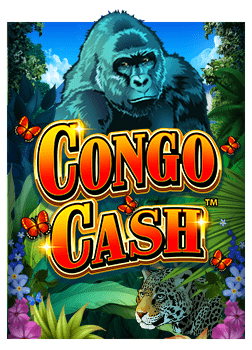 ทำความรู้จักกับ slot microgaming วิธีเล่นที่ไม่ซับซ้อน